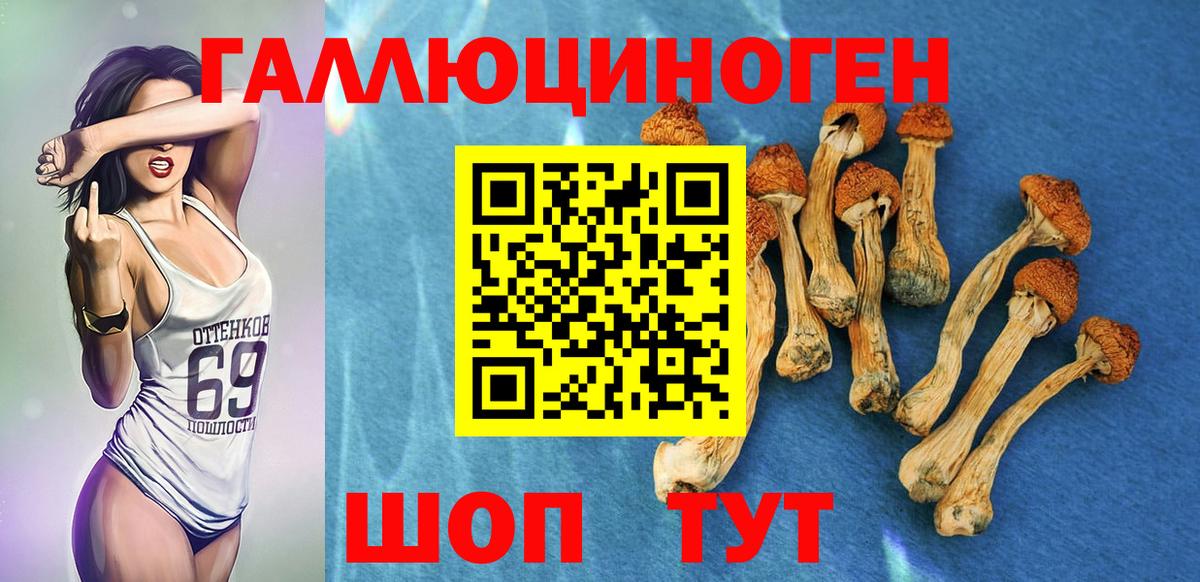Псилоцибиновые грибы мухоморы  Вход с VPN  Заинск 